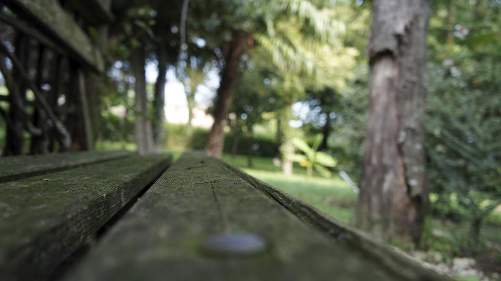 Agriturismo Da Gas San Giorgio in Bosco エクステリア 写真