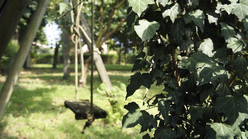 Agriturismo Da Gas San Giorgio in Bosco エクステリア 写真